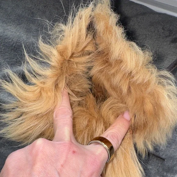 Giuseppe Zanotti Black and Brown Heeled Boots - Picture 6 of 7